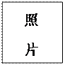 文本框: 照
片