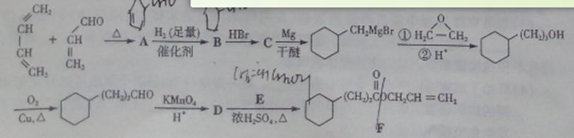 ^91߿Ƶ(^91exam.org),йĸ߿վ,ߵĸ߿רҡ