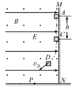^91�������߿�Ƶ��(^91exam.org),�й����ĸ߿���վ,�����ߵĸ߿�ר�ҡ�