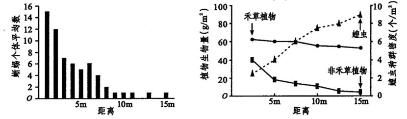 ^91߿Ƶ(^91exam.org),йĸ߿վ,ߵĸ߿רҡ