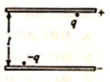^91߿Ƶ(^91exam.org),йĸ߿վ,ߵĸ߿רҡ