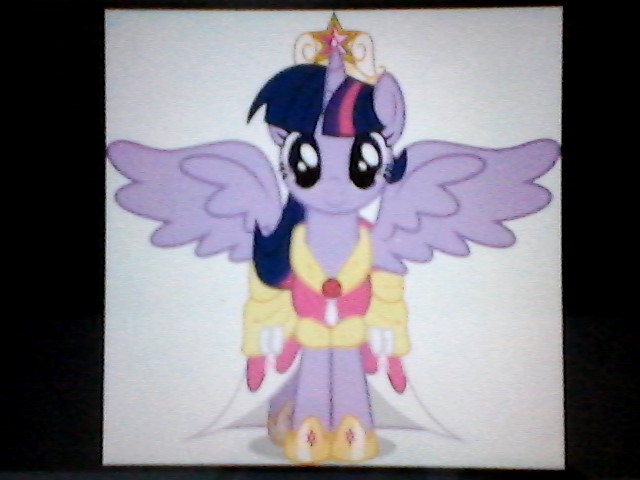 百立丰手机官网