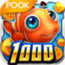 欧宝直播体育平台直播