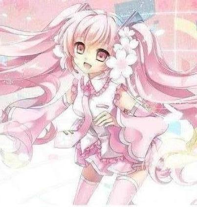 信彩彩票官网登录